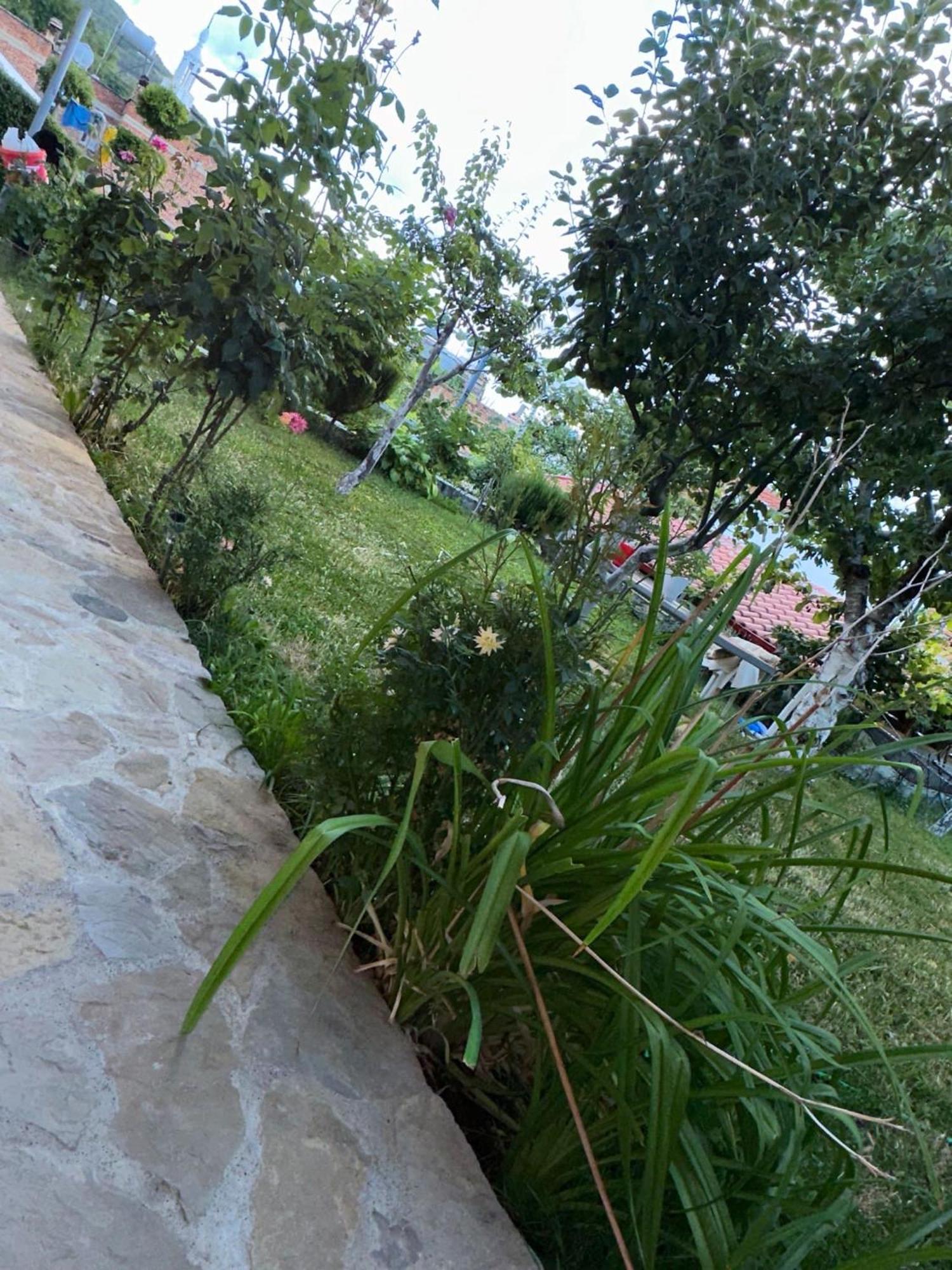 Вилла Gardenhouse Memlishte Экстерьер фото